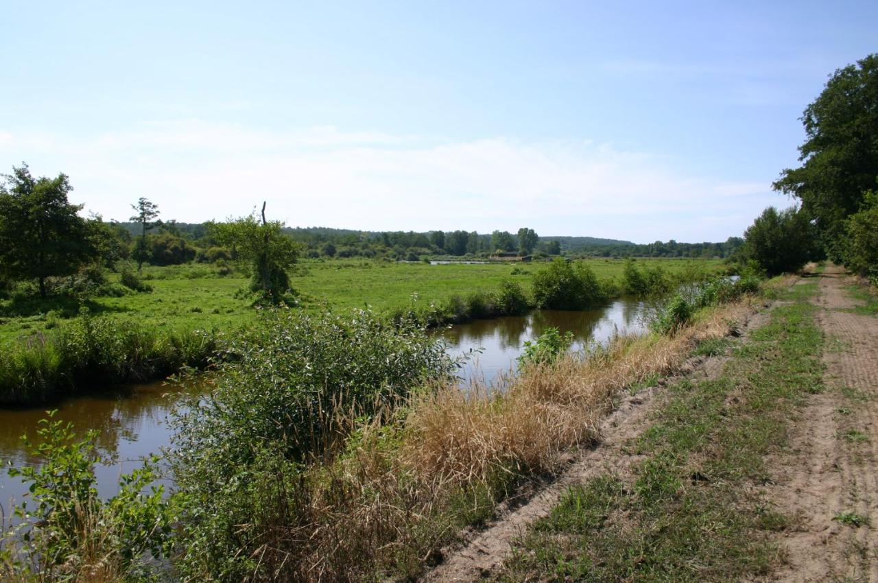 Gite 4Kms Plage Grand Domaine Prive Lacs Natura 2000 Lit-et-Mixe Exterior foto